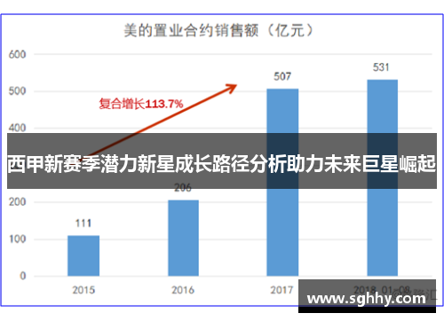 西甲新赛季潜力新星成长路径分析助力未来巨星崛起